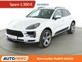 Porsche Macan Basis Aut.*NAVI*LED*TEMPO*CAM*PDC*KLIMA* Weiß - thumbnail 1