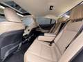 Lexus ES 300 h Luxury Line ACC HUD MATRIX-LED 360° Nero - thumbnail 6