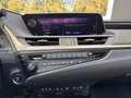 Lexus ES 300 h Luxury Line ACC HUD MATRIX-LED 360° Nero - thumbnail 12