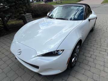 GT