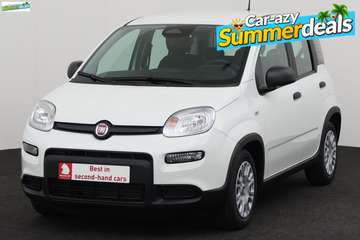 1.0i PANDINA EDITION MHEV + PDC + AIRCO
