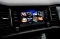 Skoda Kodiaq 1.5 TSI Business Edition 7-pers Aut. Navi|Adapt-Cr Grijs - thumbnail 19