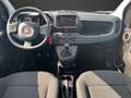 Fiat Panda MY23 Panda Hybrid *KLIMA*START-STOP* Weiß - thumbnail 8