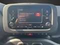 Fiat Panda MY23 Panda Hybrid *KLIMA*START-STOP* Weiß - thumbnail 15
