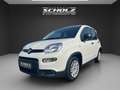 Fiat Panda MY23 Panda Hybrid *KLIMA*START-STOP* Weiß - thumbnail 1