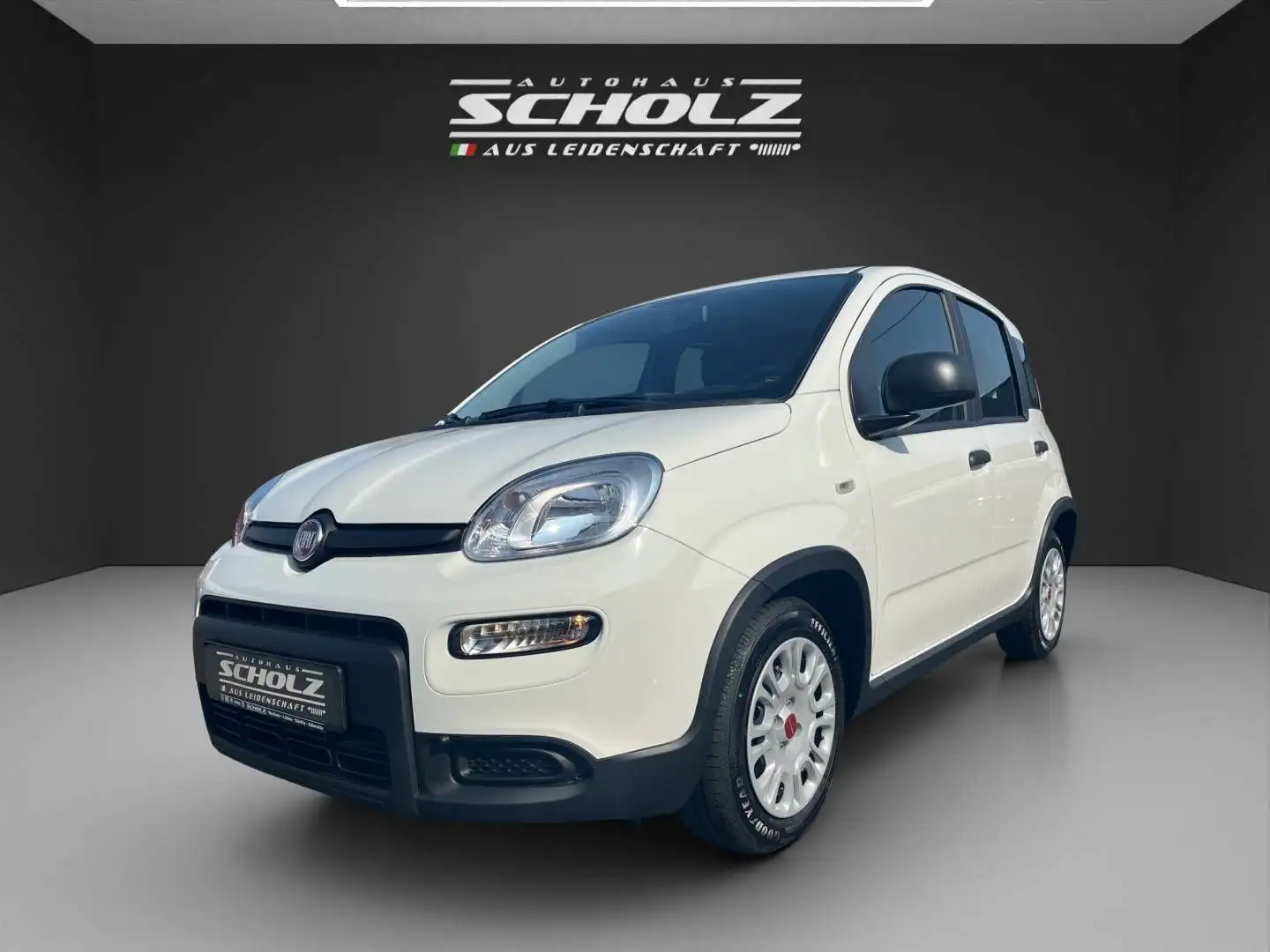 Fiat Panda MY23 Panda Hybrid *KLIMA*START-STOP* Weiß - 1