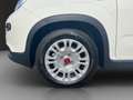 Fiat Panda MY23 Panda Hybrid *KLIMA*START-STOP* Weiß - thumbnail 11