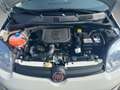 Fiat Panda MY23 Panda Hybrid *KLIMA*START-STOP* Weiß - thumbnail 12