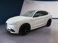 Alfa Romeo Stelvio 2020 2.2 t Veloce Q4 210cv auto Bianco - thumbnail 3