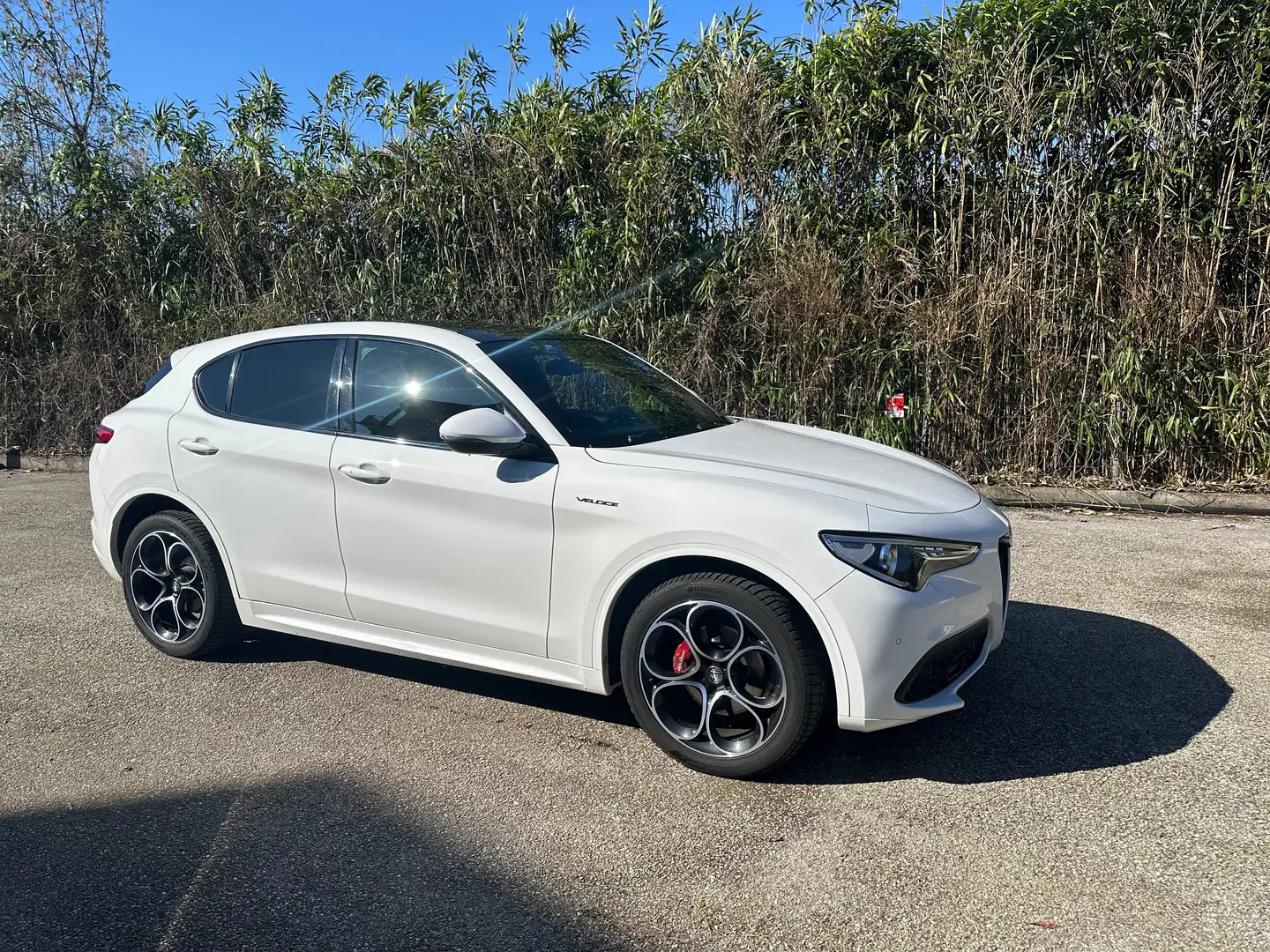 Alfa Romeo Stelvio Stelvio 2.2 t Veloce Q4 210cv auto Bianco - 1