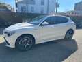 Alfa Romeo Stelvio Stelvio 2.2 t Veloce Q4 210cv auto Bianco - thumbnail 2