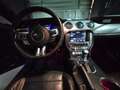Ford Mustang Fastback 5.0 GT 421PK Blauw - thumbnail 17