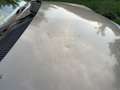 Lancia Ypsilon 1.2 8v New Oro (oro) - thumbnail 5