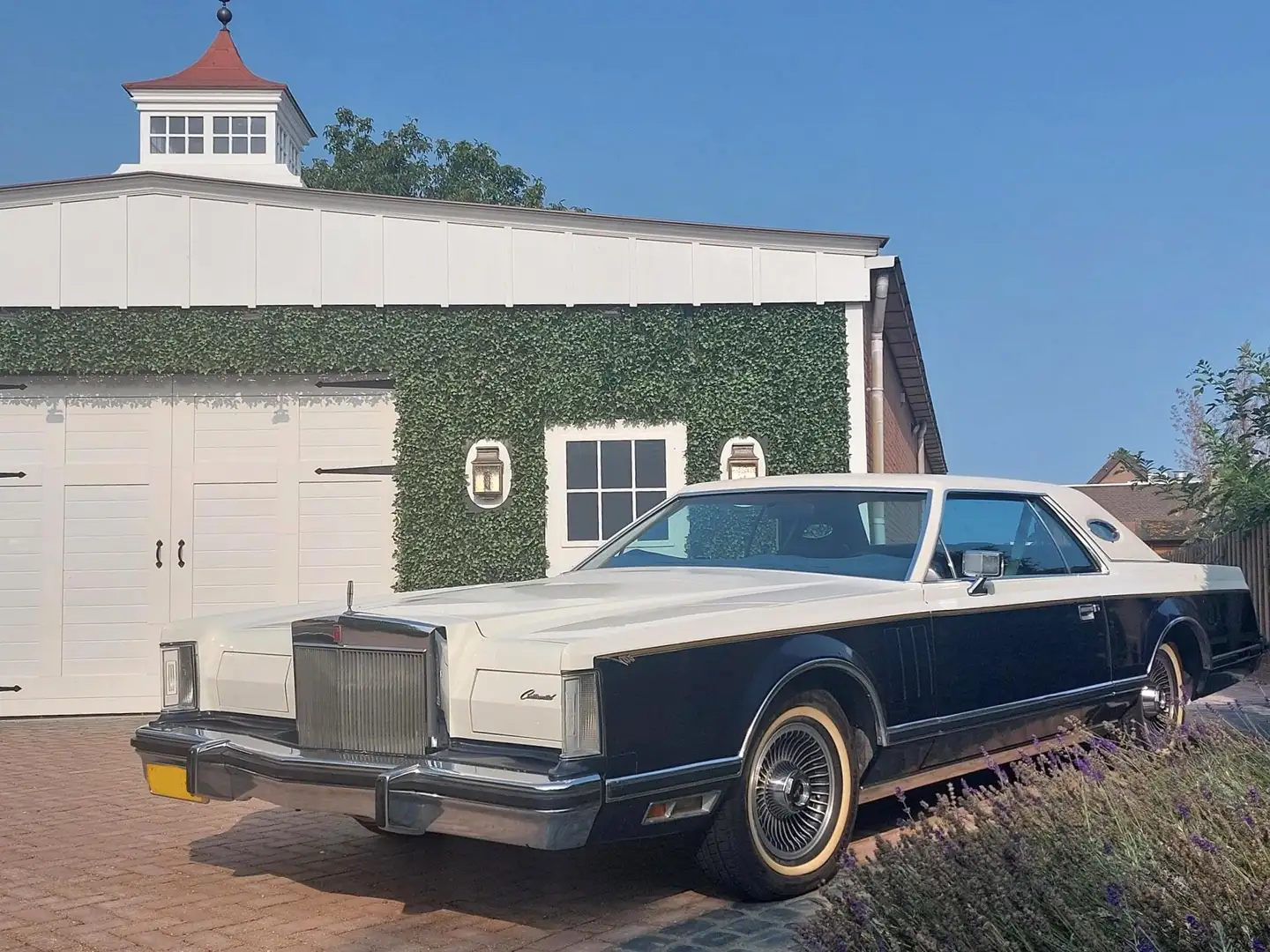 Lincoln Continental Continental 6.6 Mark V Blanc - 2