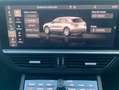 Porsche Cayenne E-HYBRID Grau - thumbnail 14