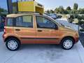 Fiat Panda 1.2 Dynamic Natural Power Portocaliu - thumbnail 4