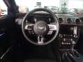 Ford Mustang 5.0 GT V8 Cabrio 55 Years Edition Naranja - thumbnail 13