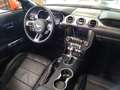 Ford Mustang 5.0 GT V8 Cabrio 55 Years Edition Orange - thumbnail 15