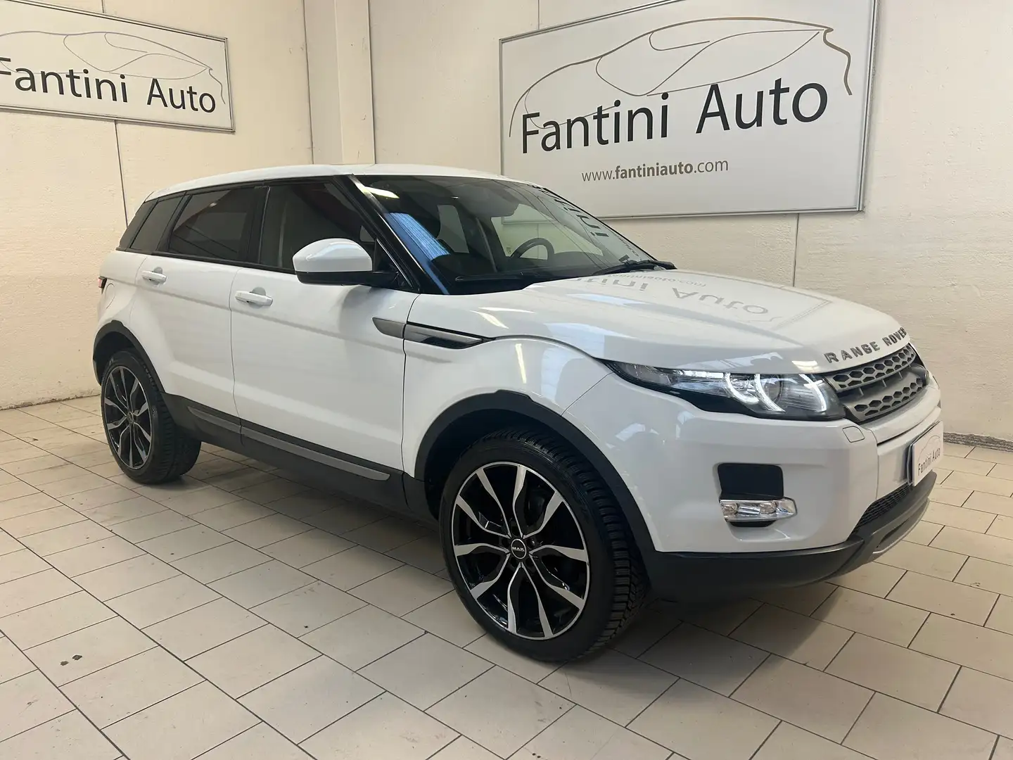 Land Rover Range Rover Evoque Evoque 5p 2.2 td4 Pure Tech Pack 150cv auto 9m Bianco - 2