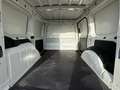 Volkswagen Caddy Cargo Furgón 2.0TDI 55kW Blanco - thumbnail 5