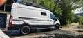 Ford Transit 350 Heavy Duty Weiß - thumbnail 4