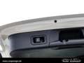 Mercedes-Benz B 220 4M Progressive *AHK*Cam*MBeam*MBUX*TotW* Weiß - thumbnail 9
