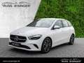 Mercedes-Benz B 220 4M Progressive *AHK*Cam*MBeam*MBUX*TotW* Weiß - thumbnail 1