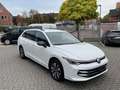 Volkswagen Golf VIII Variant 1.5TSi Goal AHK R-Kamera Navi ACC ... Weiß - thumbnail 4
