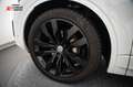 Volkswagen Touareg R-Line STHZG KAM PDC INNOV PANO ACC AHK Weiß - thumbnail 7