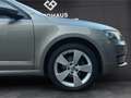 Skoda Octavia Combi Joy 1.0 TSI Navi, PDC, Allwetterreifen Beige - thumbnail 22