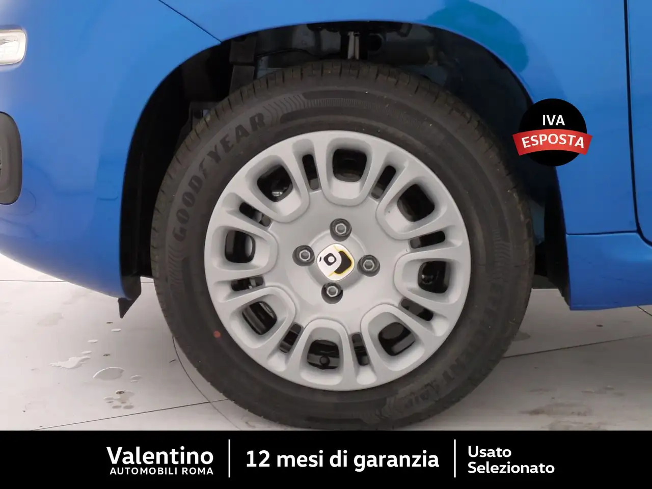 Fiat Panda 1.0 FireFly 70cv Hybrid Pandina Icon 5 Posti 12