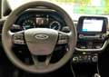 Ford Fiesta Fiesta VII 2017 5p 1.1 Plus 70cv ok neopatentati Rosso - thumbnail 10