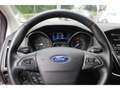 Ford Focus TITANIUM TURNIER, NAVI, PDC, RFK, BEH. WSS & SITZE Plateado - thumbnail 9