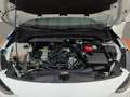 Ford Focus 1.0 Ecoboost MHEV ST-Line X 125 Blanco - thumbnail 35