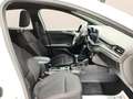 Ford Focus 1.0 Ecoboost MHEV ST-Line X 125 Blanco - thumbnail 33