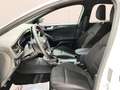 Ford Focus 1.0 Ecoboost MHEV ST-Line X 125 Blanco - thumbnail 30