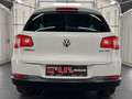 Volkswagen Tiguan 2.0 TSI Trend & Fun 4Motion/Temp/AHKschw. Weiß - thumbnail 7