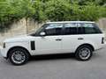 Land Rover Range Rover V8 HSE Bianco - thumbnail 2