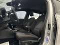 Ford Focus Focus 1.0 EcoBoost Hybrid 125CV Powershift SW ST- Argent - thumbnail 13