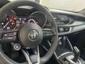 Alfa Romeo Stelvio Stelvio 2021  2.2 Q4 AT8 190cv auto Blu/Azzurro - thumbnail 5