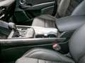Alfa Romeo Tonale Veloce Mild Hybrid  WINTERPAKET - PREMIUMPAKET Green - thumbnail 13