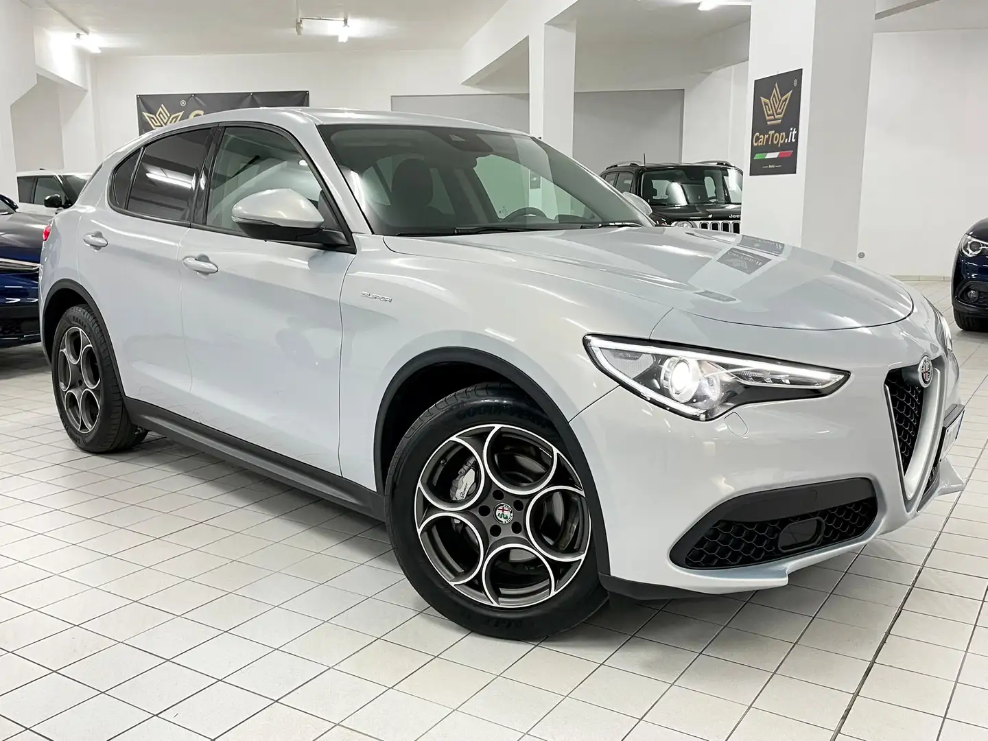 Alfa Romeo Stelvio 2.2 TD 160 CV SPORT-TECH CERCHI 19" VETRI SCURI Bianco - 2