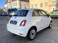 Fiat 500 Lounge TÜV NEU Weiß - thumbnail 8