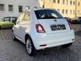 Fiat 500 Lounge TÜV NEU Weiß - thumbnail 5