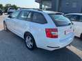Skoda Octavia Octavia III 2017 Wagon Wag.1.6 tdi Executive 115cv Bianco - thumbnail 5