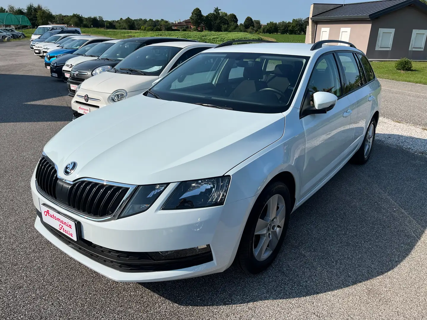 Skoda Octavia Octavia III 2017 Wagon Wag.1.6 tdi Executive 115cv Bianco - 1