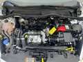 Ford Fiesta 1.5 TDCi S&S COOL&CONNECT Navi WKR Blanco - thumbnail 21