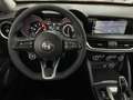 Alfa Romeo Stelvio 2.2 TD 190 CV BUSINESS Q4 DISTRIBUZIONE ESEGUITA Rot - thumbnail 10