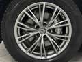 Alfa Romeo Stelvio 2.2 TD 190 CV BUSINESS Q4 DISTRIBUZIONE ESEGUITA Rot - thumbnail 16