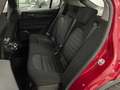 Alfa Romeo Stelvio 2.2 TD 190 CV BUSINESS Q4 DISTRIBUZIONE ESEGUITA Rot - thumbnail 7